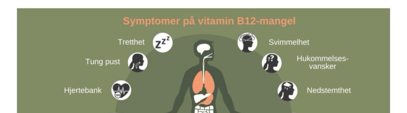 B 12 vitamin mangel 